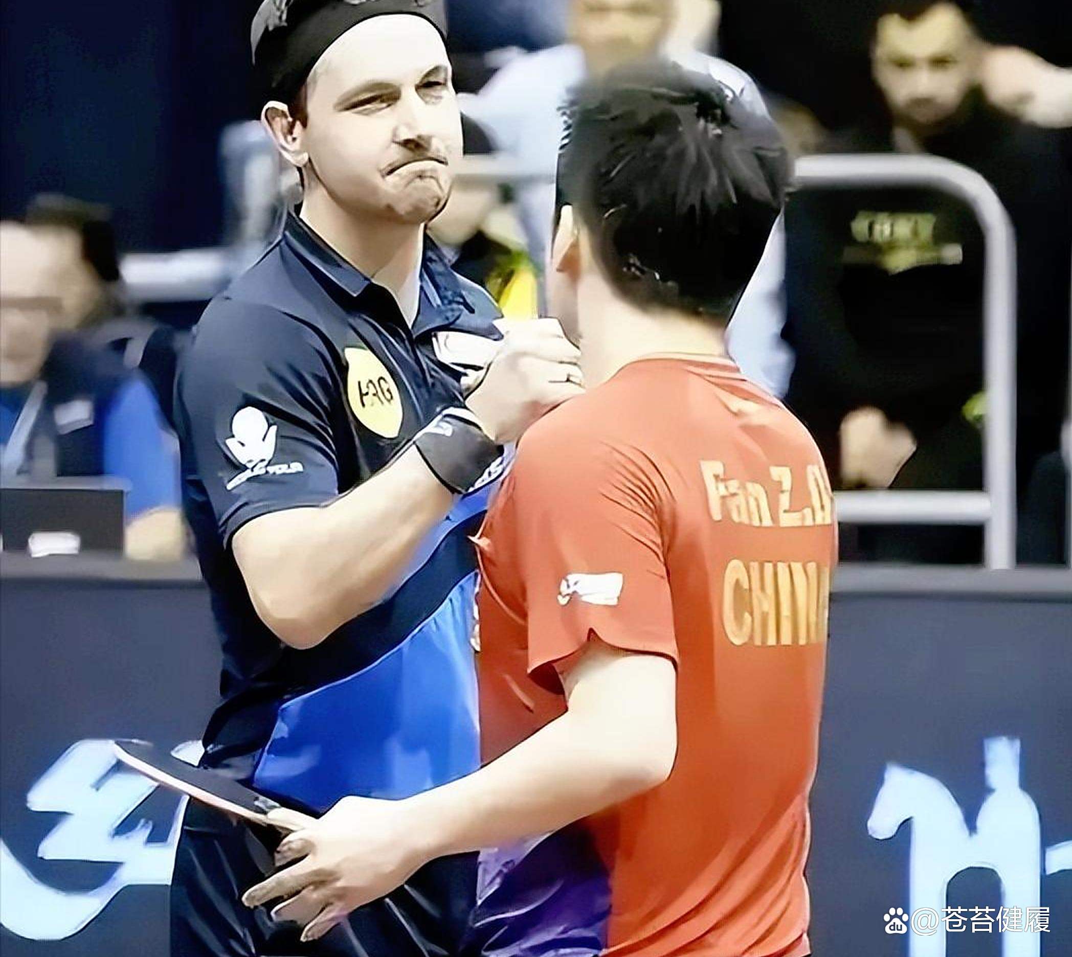 波兰乒乓球队险胜德国乒乓球队，波尔高光表现