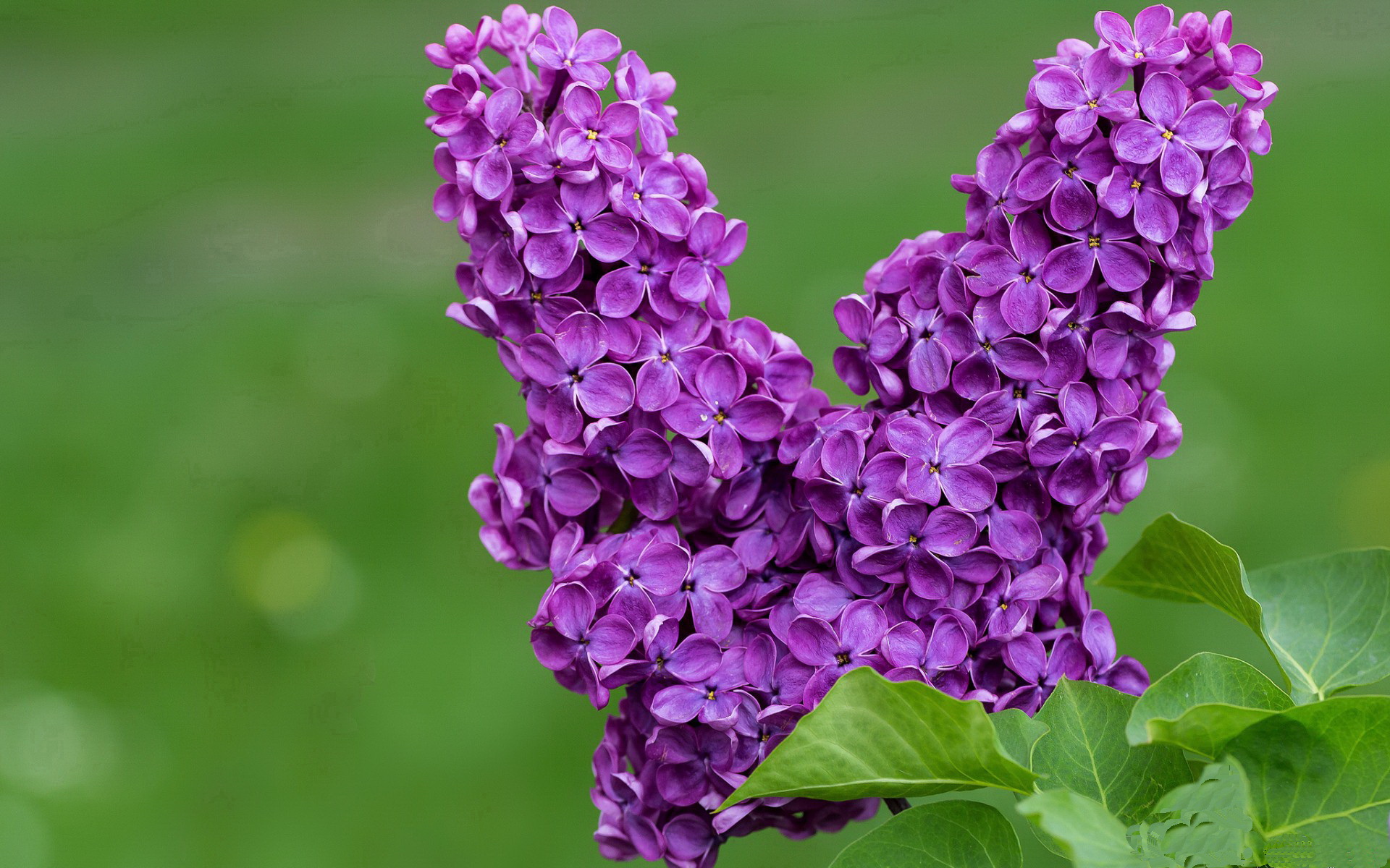 元宇宙试炼，当浓眉的末节救赎对上胡金秋的镜像对决