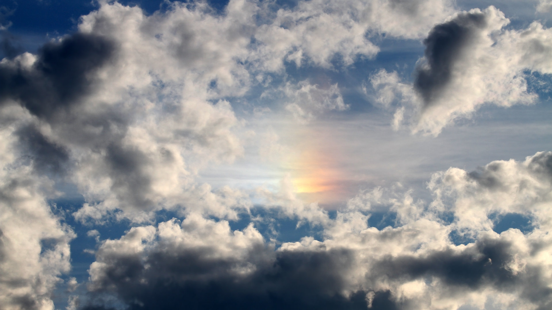 铁壁山西队防线被浙江打穿!字母哥化身手术刀刀刀见血