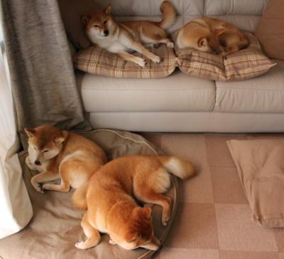 末节觉醒!布克导演布克时刻撕裂独行侠,火箭上演绝境狂飙