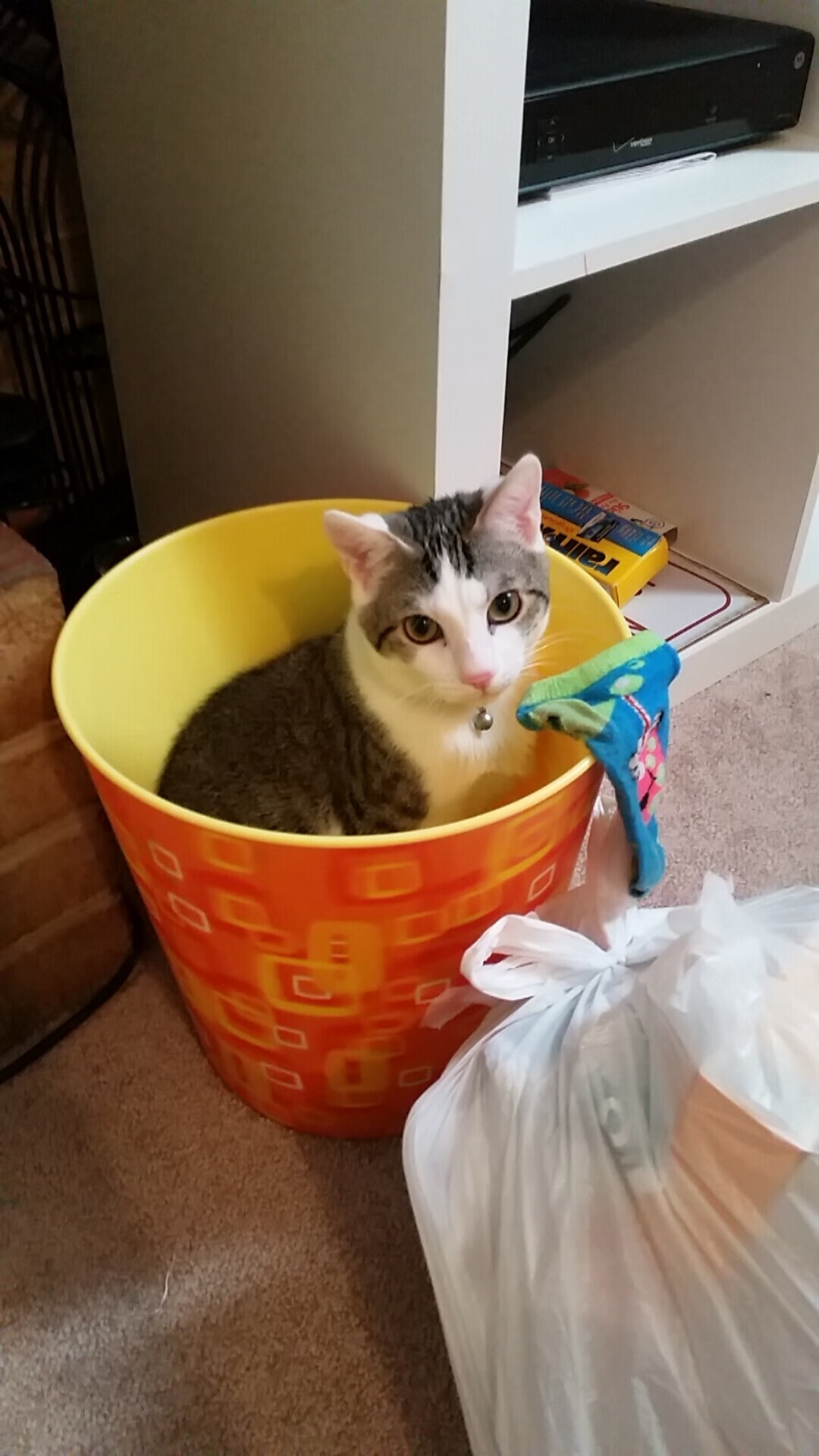 足球世界双星闪耀，厄瓜多尔友谊赛粉碎佛罗伦萨，德里赫特欧冠淘汰赛接管比赛