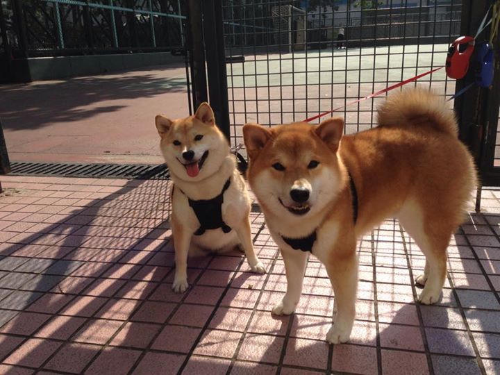 当密尔沃基的铁蹄踏过亚特兰大,一个关于如果的总决赛狂想曲