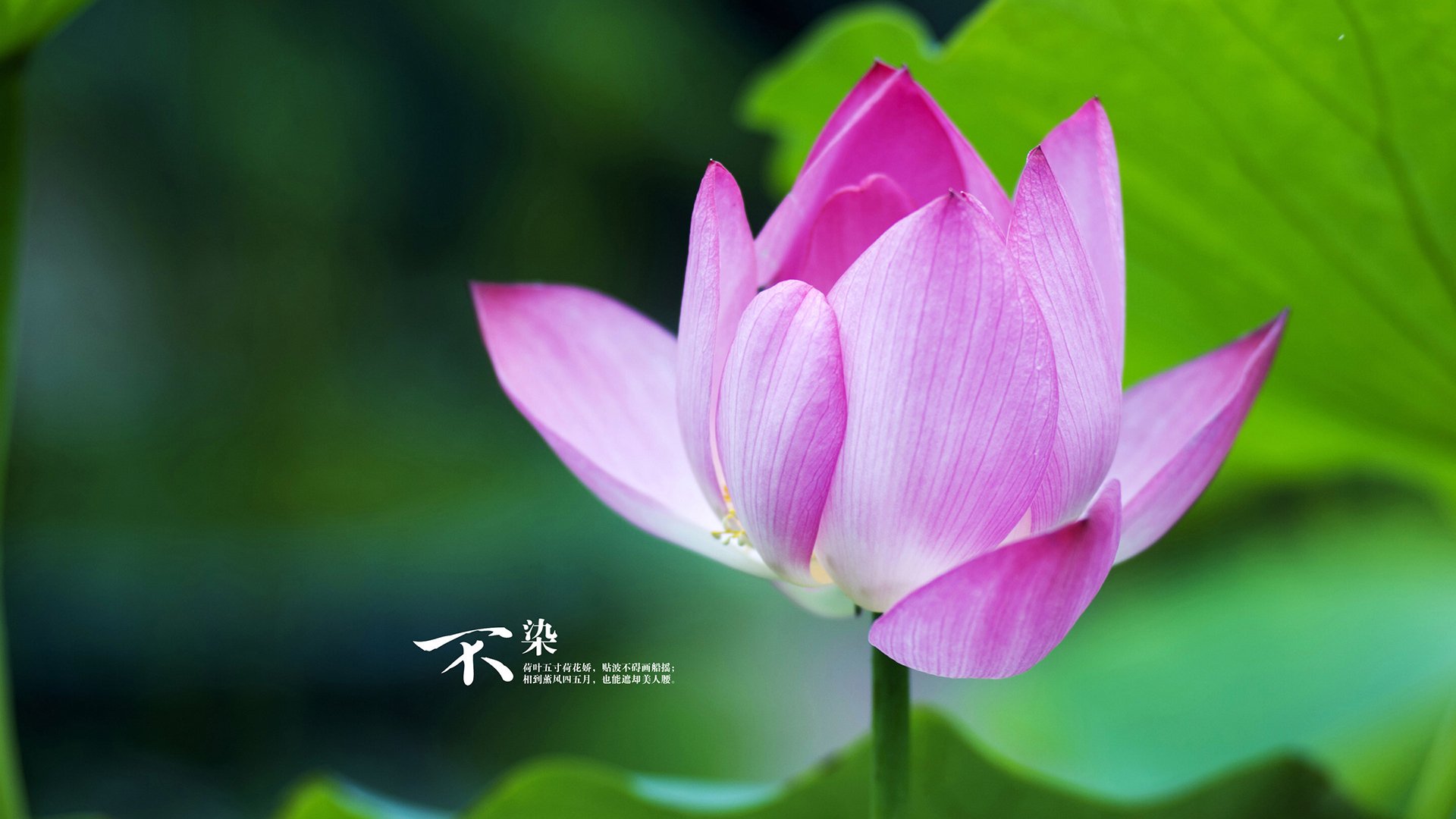 暗夜与黎明，两场横扫背后的统治力新解