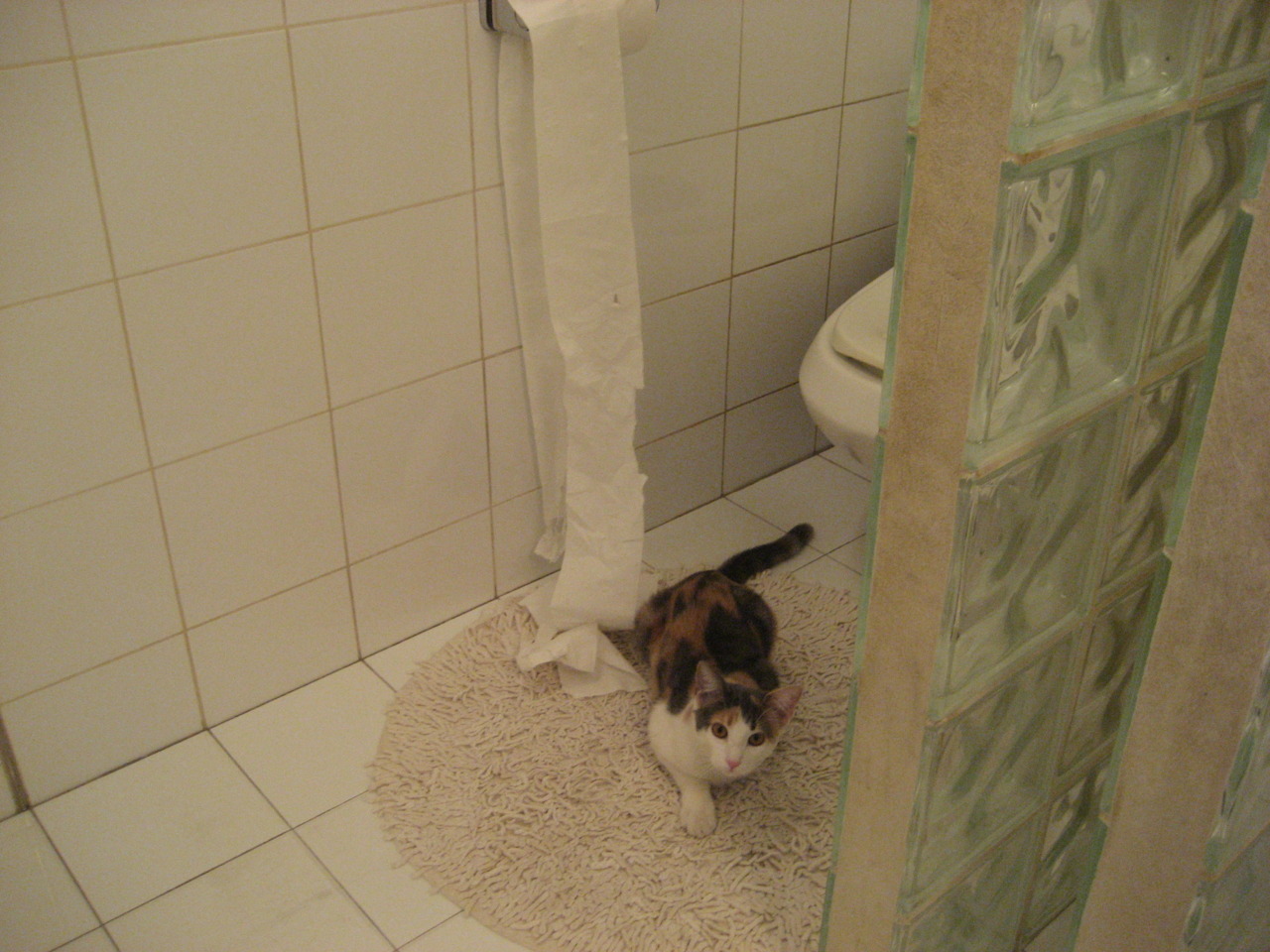 镁光灯定律,当底特律的黑暗被拉文的火焰点燃