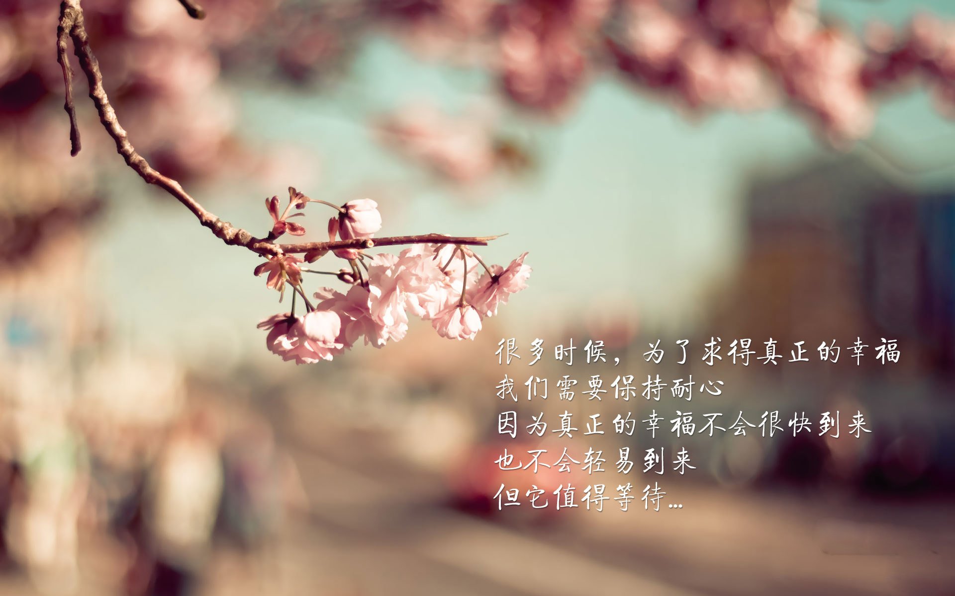 约基奇弹奏高山流水,末节森林狼如驯鹿踏雪带走湖人