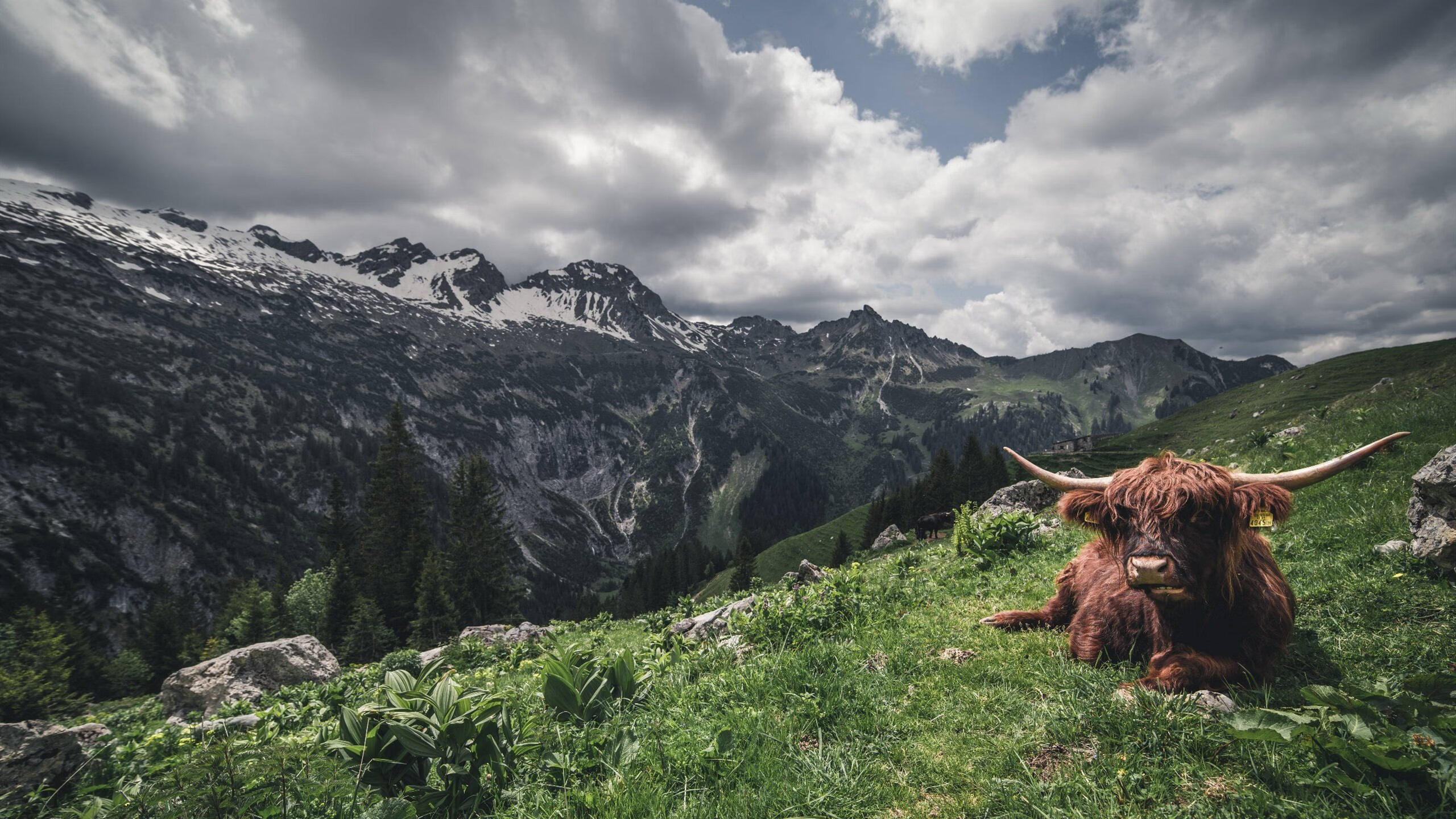 赛道与赛场的双杀日，当F1世界屏息时，雷霆在岭南爆冷